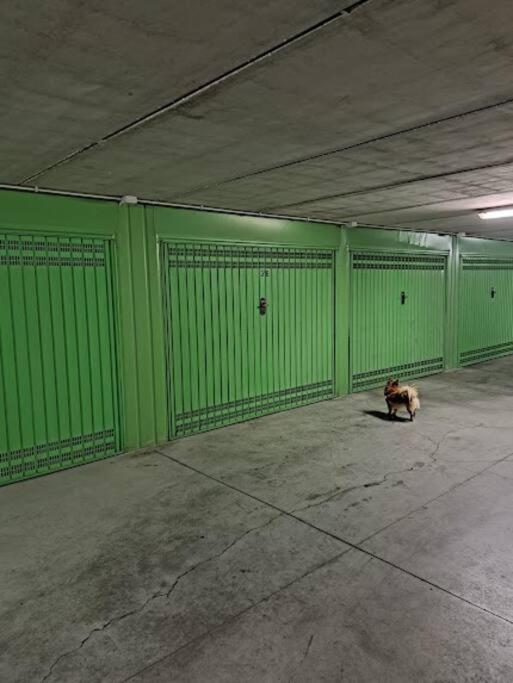 Appartement Centrale Vicino Spiagge E Ciclabile + Box-Auto ! à Arma di Taggia Extérieur photo
